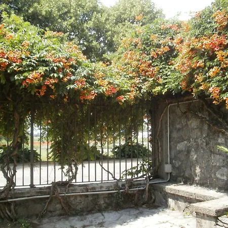 Albergo Villa&Roma-3